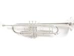 Veiling - Roy Benson TR-403S  Bb trompet, Muziek en Instrumenten, Blaasinstrumenten | Trompetten, Gebruikt