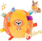 Cadeau en decoratie pakket Funny Dog, Verzenden, Nieuw