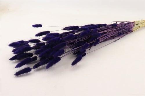 Lagurus Ovatus Pluimgras Graspluimen in hoes Violet 100 gram, Huis en Inrichting, Woonaccessoires | Kunstplanten en Kunstbloemen