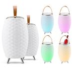 FlinQ Draadloze LED Speakerlamp met Wijnkoeler Model: Klein