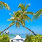 Pvc Wanddoek Beach Palmtree 2x2mtr, Tuin en Terras, Nieuw, Verzenden