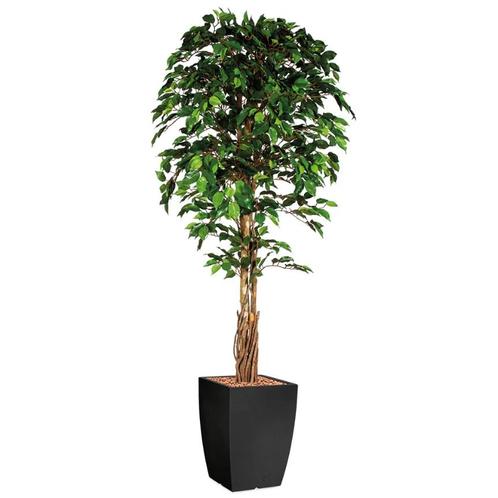 Ficus kunstplant, H210cm, Huis en Inrichting, Kamerplanten, Ophalen of Verzenden