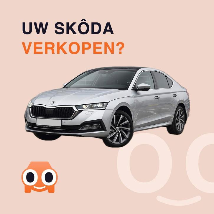 JOUW SKÔDA ZORGELOOS VERKOPEN? BINNEN 1 DAG VERKOCHT!, Auto diversen, Auto Inkoop