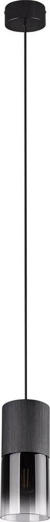 TRIO ROBIN Hanglamp - Zwart - excl. 1x E27 28W - IP20, Huis en Inrichting, Lampen | Hanglampen, Ophalen of Verzenden, Zo goed als nieuw