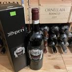 2019 Speri, Amarone della Valpolicella Classico DOCG -, Verzamelen, Nieuw
