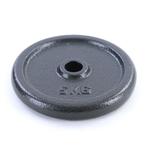 Gietijzeren halterschijven 2x 10 kg - 27 mm naaf, 25,5 cm..., Ophalen of Verzenden, Nieuw