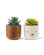 HEMA Nijntje bloempotjes - 2 stuks, Verzenden