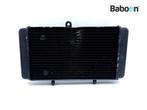 Radiateur Aprilia NA 850 Mana GT 2009-2010, Motoren, Verzenden, Gebruikt