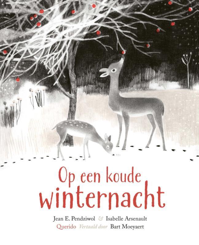Op Een Koude Winternacht | 9789045125022 | Pendziwol, Jean E, Boeken, Overige Boeken, Nieuw, Ophalen of Verzenden