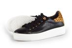 Cellini Sneakers in maat 38 Zwart | 10% extra korting, Kleding | Dames, Schoenen, Verzenden, Zwart, Cellini, Sneakers of Gympen