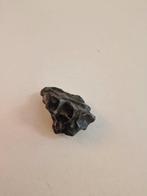 Sikhote-Alin meteoriet IJzer meteoriet - 67 g, Verzamelen, Mineralen en Fossielen