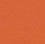 Forbo Bulletin Board 2211 tangerine zest, Huis en Inrichting, Stoffering | Vloerbedekking, Verzenden, Nieuw