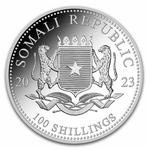 Somalië. 100 Shillings – 2023 African Wildlife Leopard 1 oz, Postzegels en Munten, Munten | Europa | Niet-Euromunten