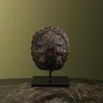 Schildpad Schild op Standaard, Verzamelen, Dierenverzamelingen, Ophalen of Verzenden, Nieuw, Reptiel of Amfibie, Opgezet dier