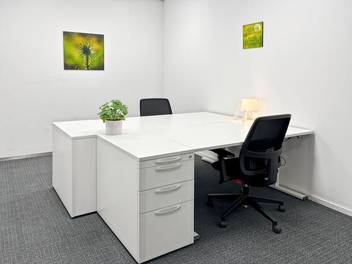 Werkplek-membership in Regus Pettelaarpark, Zakelijke goederen, Bedrijfs Onroerend goed