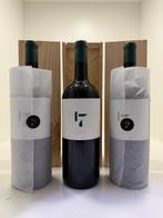 2021 Pinea, 17 by Pinea - Ribera del Duero - 3 Magnum (1,5, Nieuw