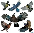 Vogelstickers voor raambescherming - Huis en tuindecoratie, Verzenden, Nieuw