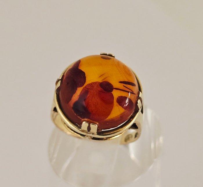 Zonder Minimumprijs - Ring - 8 karaat Geel goud - Amber, Sieraden, Tassen en Uiterlijk, Ringen