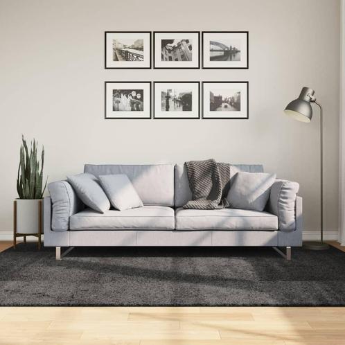 vidaXL Vloerkleed PAMPLONA shaggy hoogpolig 160x230 cm, Huis en Inrichting, Stoffering | Tapijten en Kleden, Nieuw, Verzenden