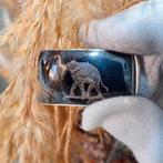Siam zilveren gesp met olifant (zilveren voorwerpen), Ophalen of Verzenden, Zilver