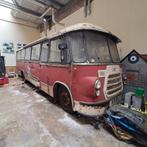 Kikkerbus, DAF, B1600 DD 533, 1961