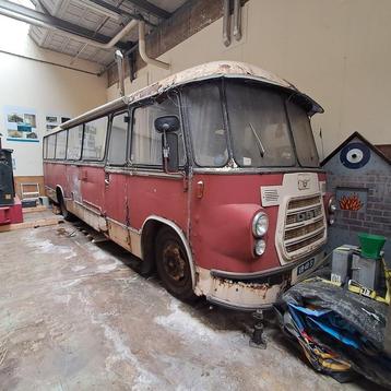 Kikkerbus, DAF, B1600 DD 533, 1961 beschikbaar voor biedingen
