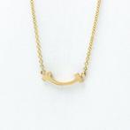 Tiffany & Co. - Ketting met hanger rosegoud