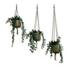 Voordeelset van 3 Plantenhangers - Olijfgroen - 60, 80 en, Ophalen of Verzenden, Nieuw