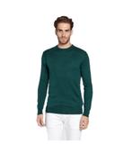 Guess Patton Sweater Heren Groen, Kleding | Heren, Truien en Vesten, Nieuw, Groen, Guess, Verzenden