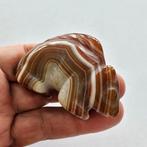Tibetaans of Nepalese Natural Banded Agate Zeldzame egel