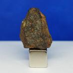 -Slechts 5,7 kg ter wereld- WINONAITE (primitieve