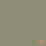 Kurk Klikvloer Linoleum - Rosemary Green - per m2, Ophalen of Verzenden, Nieuw