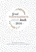 Groot voornamenboek 2016 9789491874055 Femke van Werkhoven, Verzenden, Zo goed als nieuw, Femke van Werkhoven