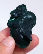 Uitstekende botryoïde malachiet met Chantilly - Hoogte: 5.2, Verzamelen