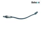 Lambda Sonde Triumph Street Scrambler 900 2019-, Verzenden, Gebruikt