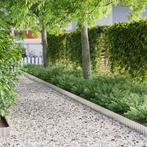 vidaXL Gras Rand Zilver 1000 x 15 x 0.03 cm Gegalvaniseerd, Tuin en Terras, Verzenden, Nieuw