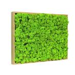 Vintlux Mosschilderij Rendiermos 80x120 cm Blank Hout, Nieuw