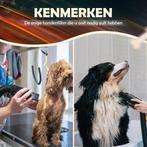 Professionele Hondenfohn - 3800W - Zwart - Verstelbaar Vermo, Dieren en Toebehoren, Honden-accessoires, Nieuw, Verzenden