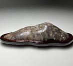 Japanse Suiseki – landschapsteen met houten Daiza – - Begin