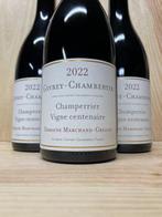 2022 Domaine Marchand-Grillot Champerrier Vigne Centenaire, Nieuw