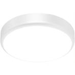 LED Plafondlamp met Sensor + Dag en Nacht Sensor - Brinton, Huis en Inrichting, Lampen | Plafondlampen, Ophalen of Verzenden, Nieuw