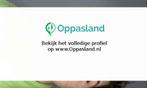 Ik ben myra, 16 jaar oud en ik zoek oppaswerk in Doetinchem.