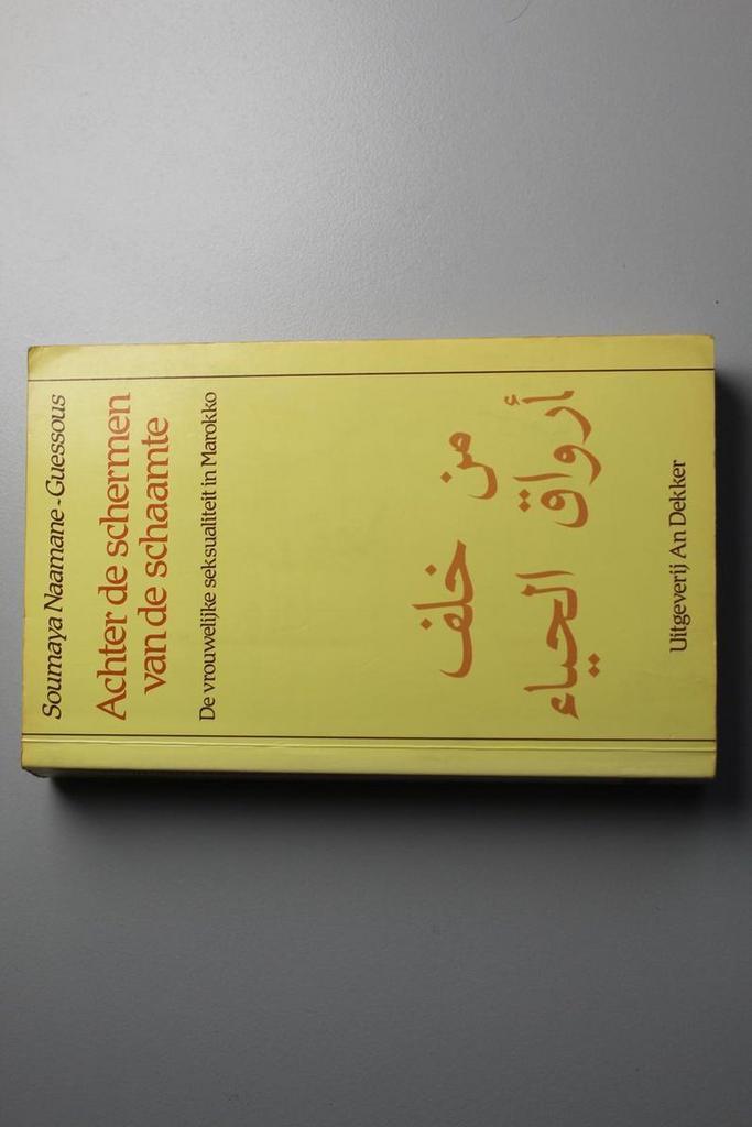 Achter de schermen vd schaamte 9789050710749, Boeken, Politiek en Maatschappij, Gelezen, Verzenden