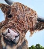 Mireille Both - Hooglander