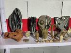 Vondst van fossielen - Gefossiliseerd dier - Coleccion Fosil, Verzamelen, Mineralen en Fossielen