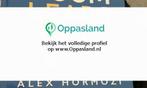 Baki zoekt een oppas in Eindhoven., Vacatures, Vacatures | Onderwijs, Wetenschap en Onderzoek
