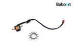 Pickup Honda CBR 900 RR Fireblade 2000-2001 (CBR900RR SC44), Verzenden, Gebruikt
