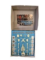 Bordspel - Anatomie 2000