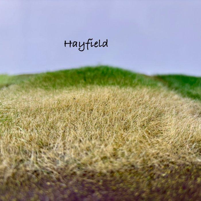 Grote partij 1,7 liter statisch gras voor, Hobby en Vrije tijd, Modeltreinen | H0