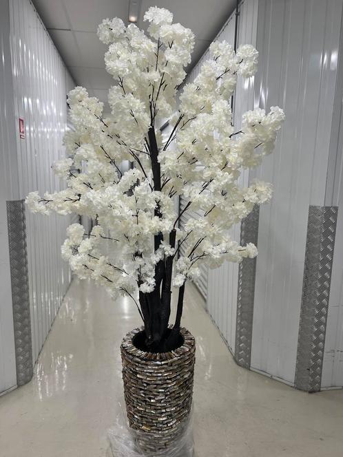 Luxe schelpenvaas met heel hoog vol bloesem. Winter actie, Huis en Inrichting, Woonaccessoires | Vazen, Nieuw